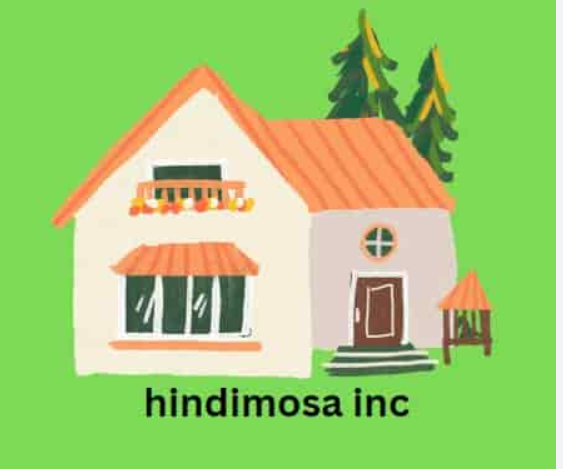 Hindimosa Inc: Global Connectivity, Innovation and Technology